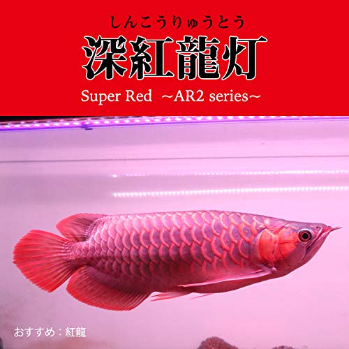 Amazon.co.jp: アロワナ ライト 紅龍 水槽用 深紅龍灯 赤い 赤色