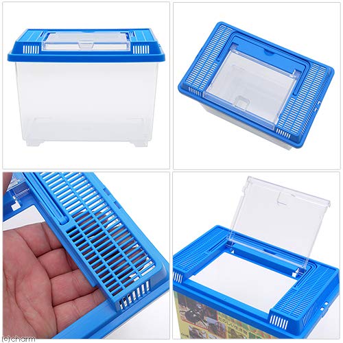Amazon | 鈴木製作所 飼育容器 小 青（225×150×165mm