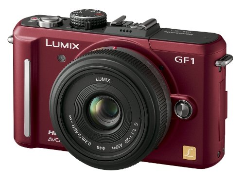 Panasonic DMC-GF1 ミラーレス一眼 7-14mmレンズ付き Panasonic DMC