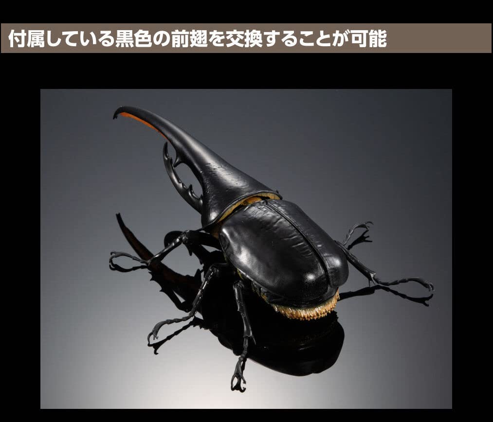 Amazon | いきもの大図鑑プレミアム ヘラクレスオオカブト（ヘラクレス