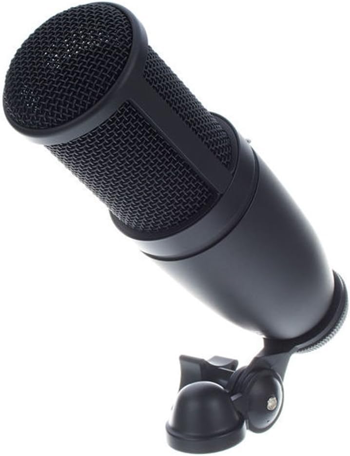Amazon.co.jp: AKG (アーカーゲー) P120 Project Studio Line