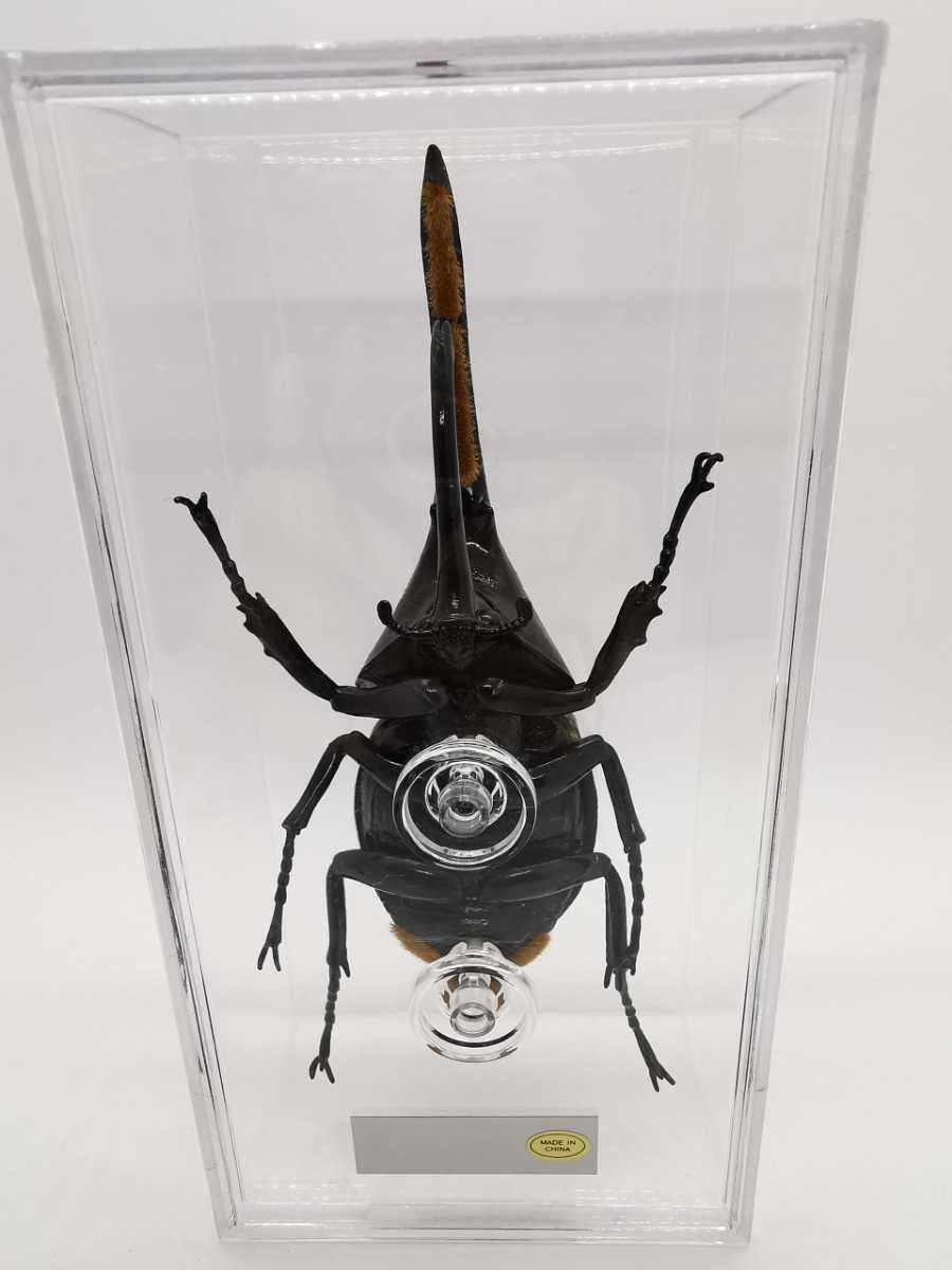 1～15巻まで】世界の昆虫 DATA BOOK＆標本セット