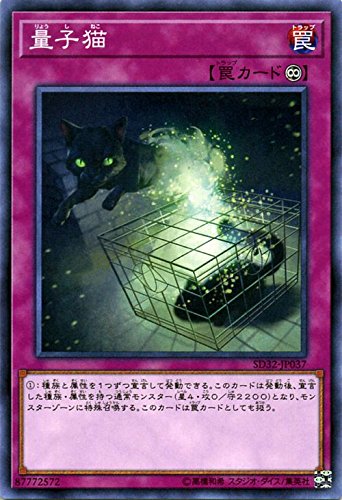 遊戯王 英語版 量子猫 プレイマット 遊戯王 英語版 量子猫 プレイマット