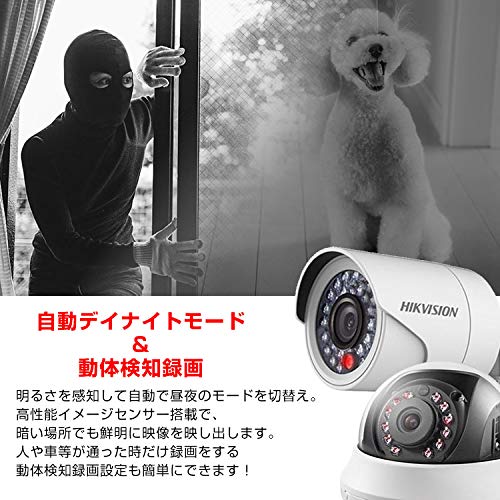 業務用美顔器 PIGNET OTHELLO The Skins Pro 業務用美顔器 PIGNET