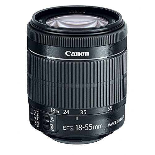Amazon.co.jp: CANON ZOOM LENS EF-S 18-55mm 1:4-5.6 IS STM : CANON