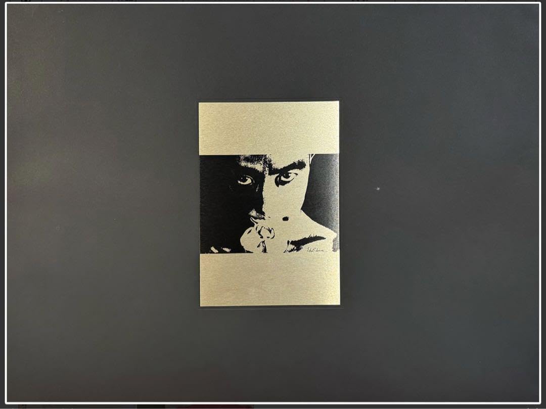 薔薇刑 新輯版 細江英公 寫真作品 三島由紀夫 横尾忠則 1971年 Amazon.