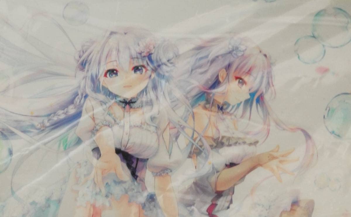 複製原画 和泉つばす Amazon.co.jp: 和泉つばす直筆サイン入り 高精細