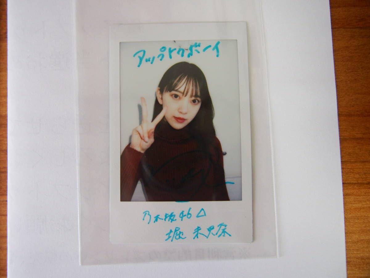 元乃木坂46 堀未央奈 サイン入り 提灯 のぎピク 元乃木坂46 堀未央奈