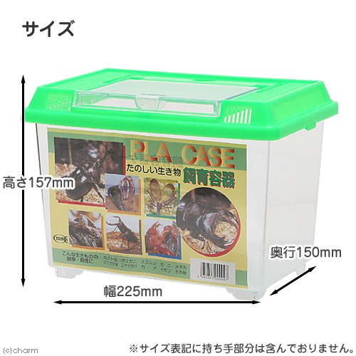 Amazon | 飼育容器 小 緑（225×150×165mm） プラケース 虫