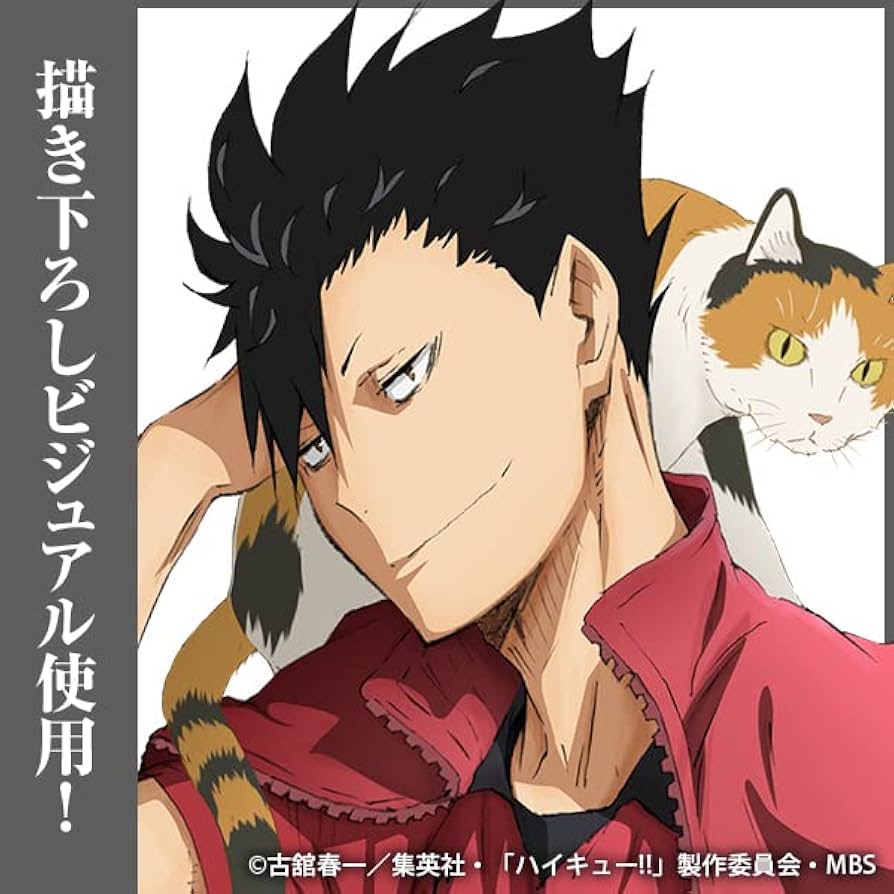 Amazon.co.jp: 【公式】コスパ ハイキュー!! 黒尾鉄朗 缶バッジ Ver