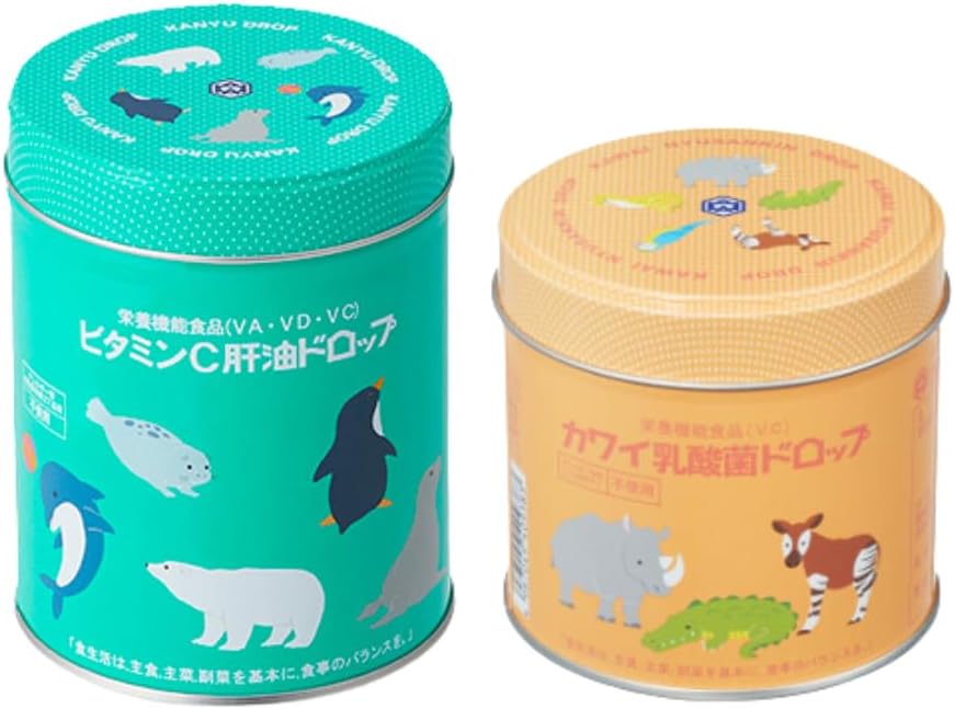 ウニ（スカシカシパン）の箱入り標本 - aiai生物部 | minne byGMO