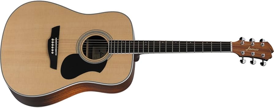 Amazon | James J-300D NAT(ナチュラル) アコースティックギター