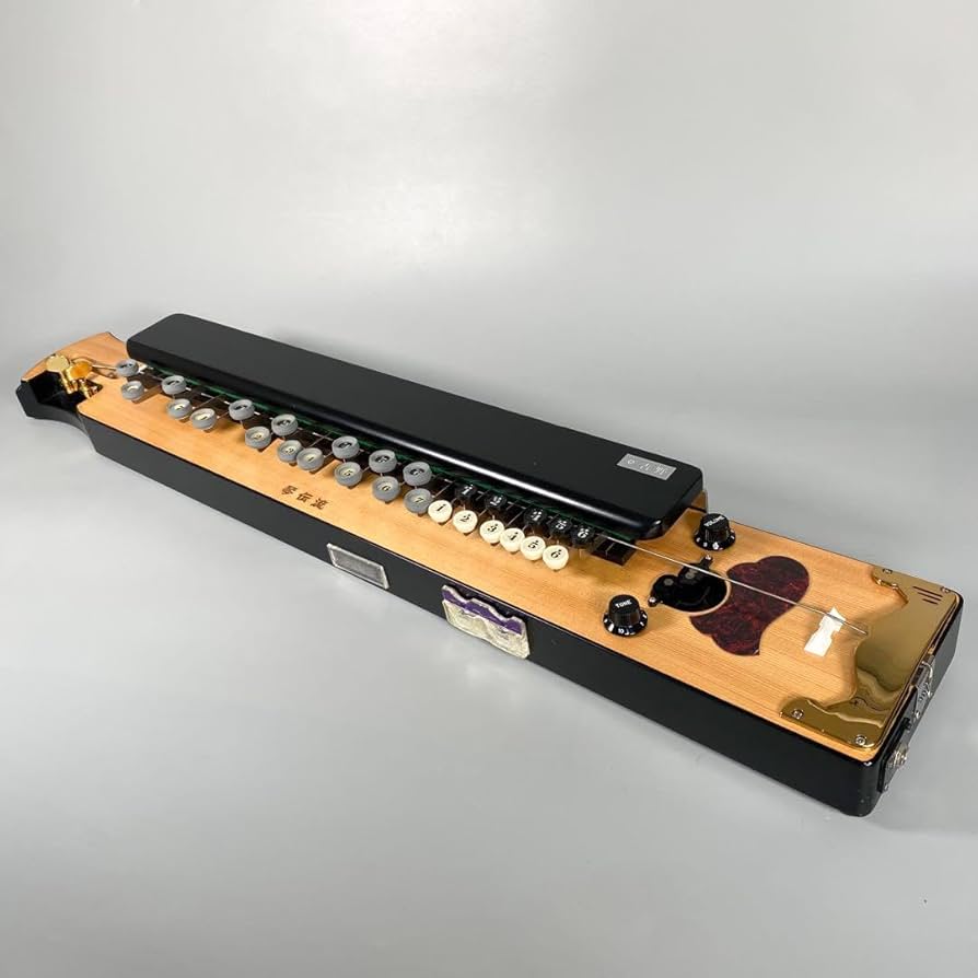 大正琴 菊花 電子琴 エレキ ハードケース付 琴伝流 Amazon.co.jp: 電気
