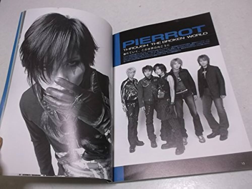 PIERROT キリト KIRITO フォトカード おまけ付き PIERROT キリト