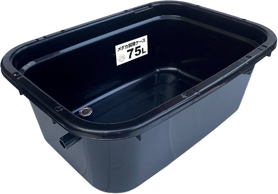 Amazon | 五色アクア メダカ飼育容器 75リットル 黒 オーバーフロー