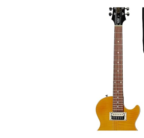 Amazon.com: Epiphone Slash Appetite Les Paul Special-II