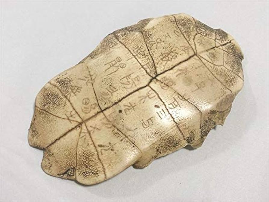 中国美術 紫泥 刻文字 亀甲羅 一対(HA532)