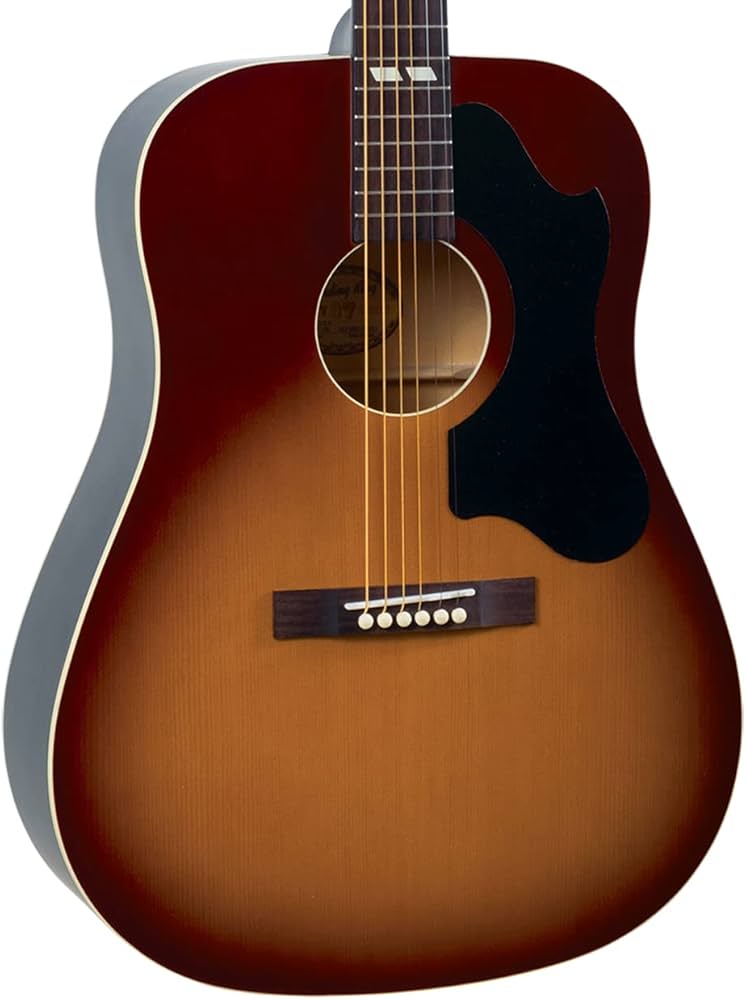 Amazon | Recording King RDS-7-TS アコースティック・ドレッドノート