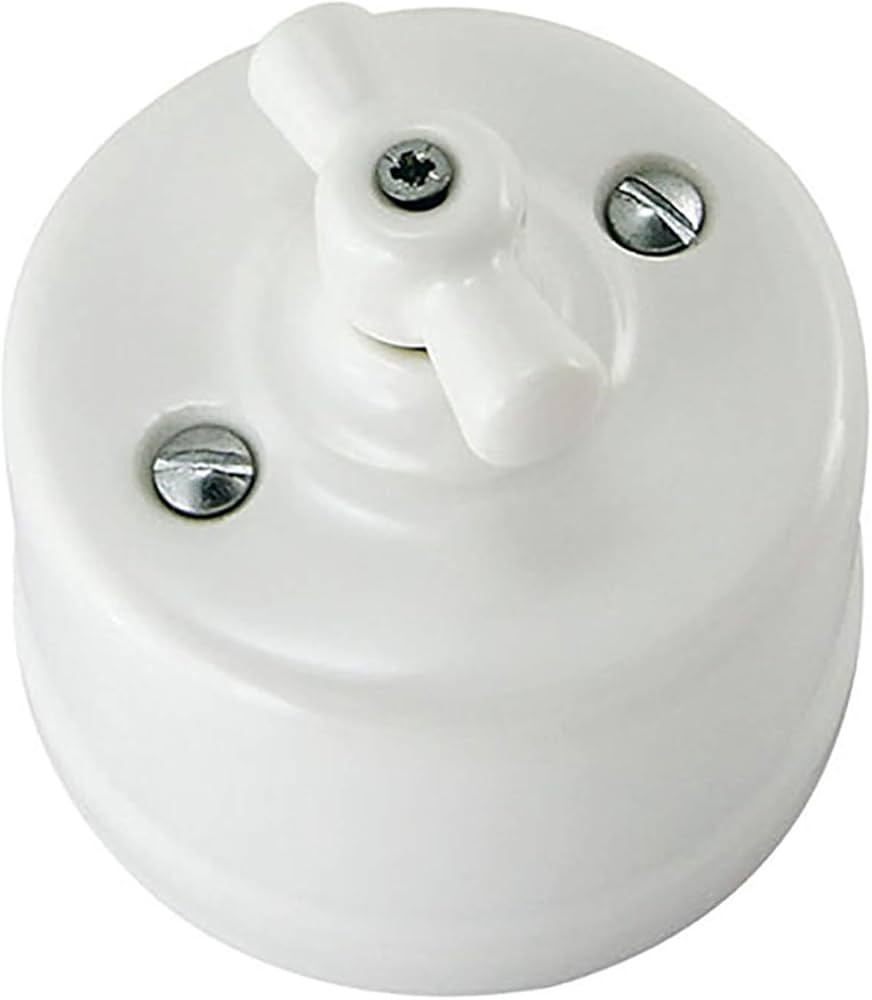 Amazon.co.jp: スイッチ陶器 アンティーク風 Rotary Vintage Porcelain