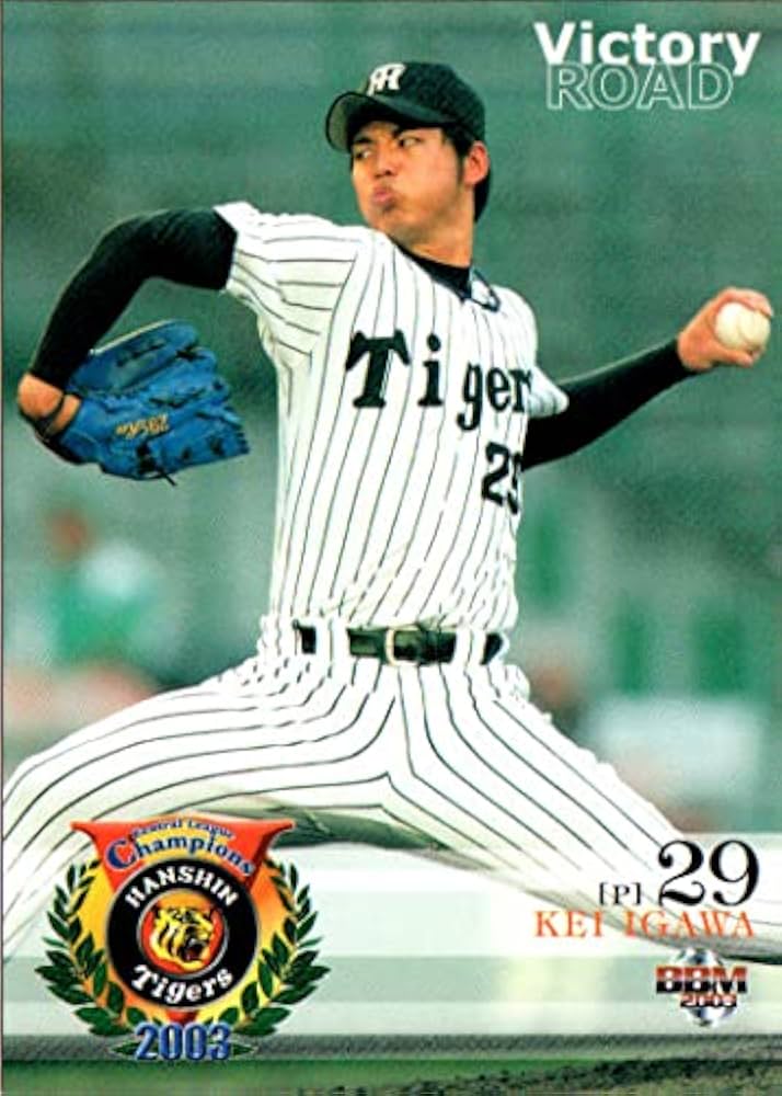 再々お値下け！阪神タイガース2003優勝フォトブック