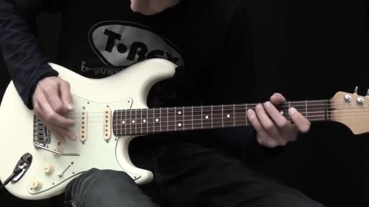 Amazon.co.jp: T-REX エフェクター ギター用 オーバードライブ DIVA