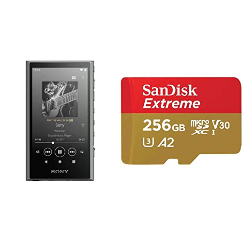 NW-A306 32GB / 256GB MicroSD+ケース2種+フィルム付 NW-A306】32GB +