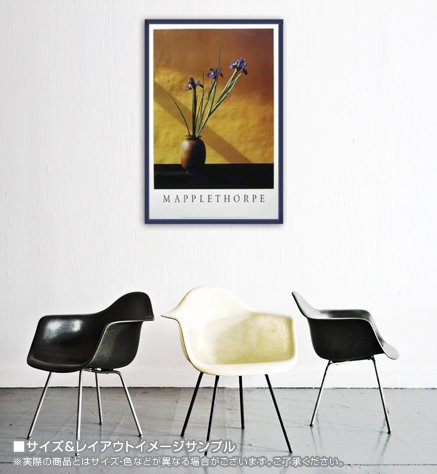 額装済/Lisa Lyon/ロバート メイプルソープ/インテリア/アートポスター