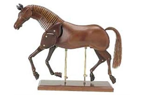 Amazon | ホルベイン マネキン 馬のモデル No.3 345123 | モデル人形