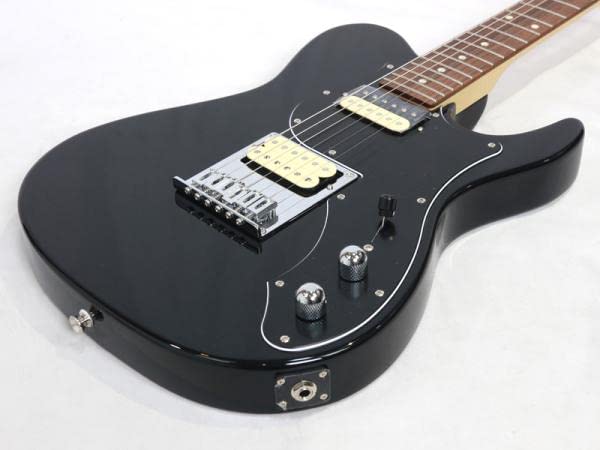 ギター FUJIGEN BIL-G-HH/BK/01 Amazon | フジゲン フジゲン BIL2-G-HH