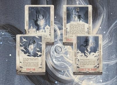 Amazon.com: MTG Secret Lair: Artist Series: Rovina CAI (Non-Foil