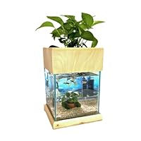 Amazon | せせらぎビオトープ 水替え不要【水槽セット】 20cm型【色
