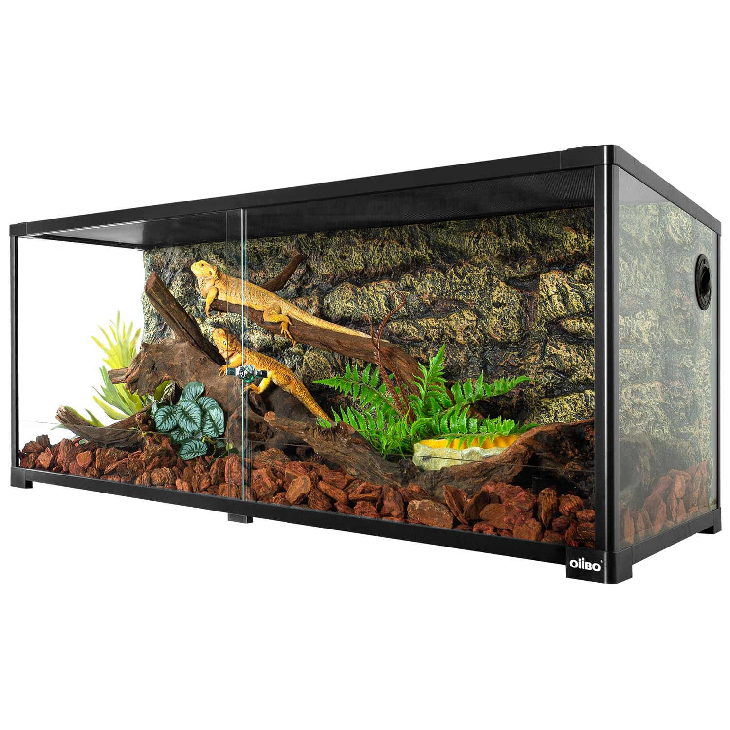 Amazon | 243L 爬虫類ケージ グラステラリウム 透明 飼育ケース 飼育