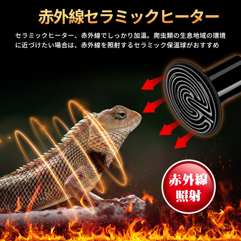 爬虫類用 保温ライト