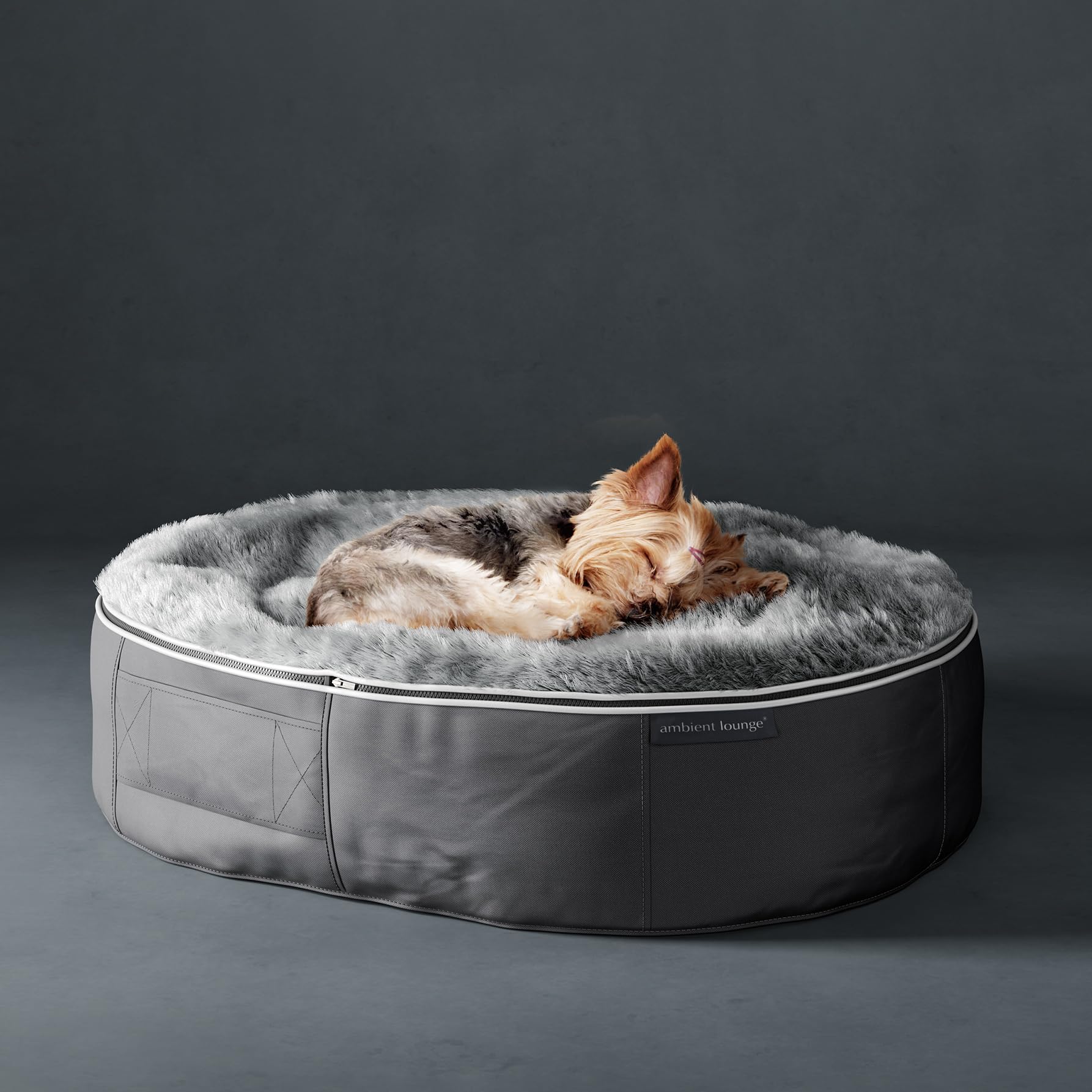 ながれ‼️Ambient Lounge ウルフグレー ベーシックタイプ M Amazon