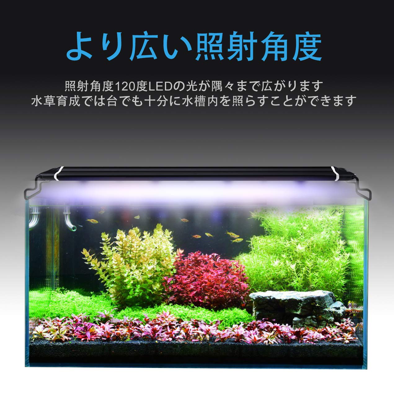 ADA アクアスカイ LEDライト 60cm水槽用 【公式通販】