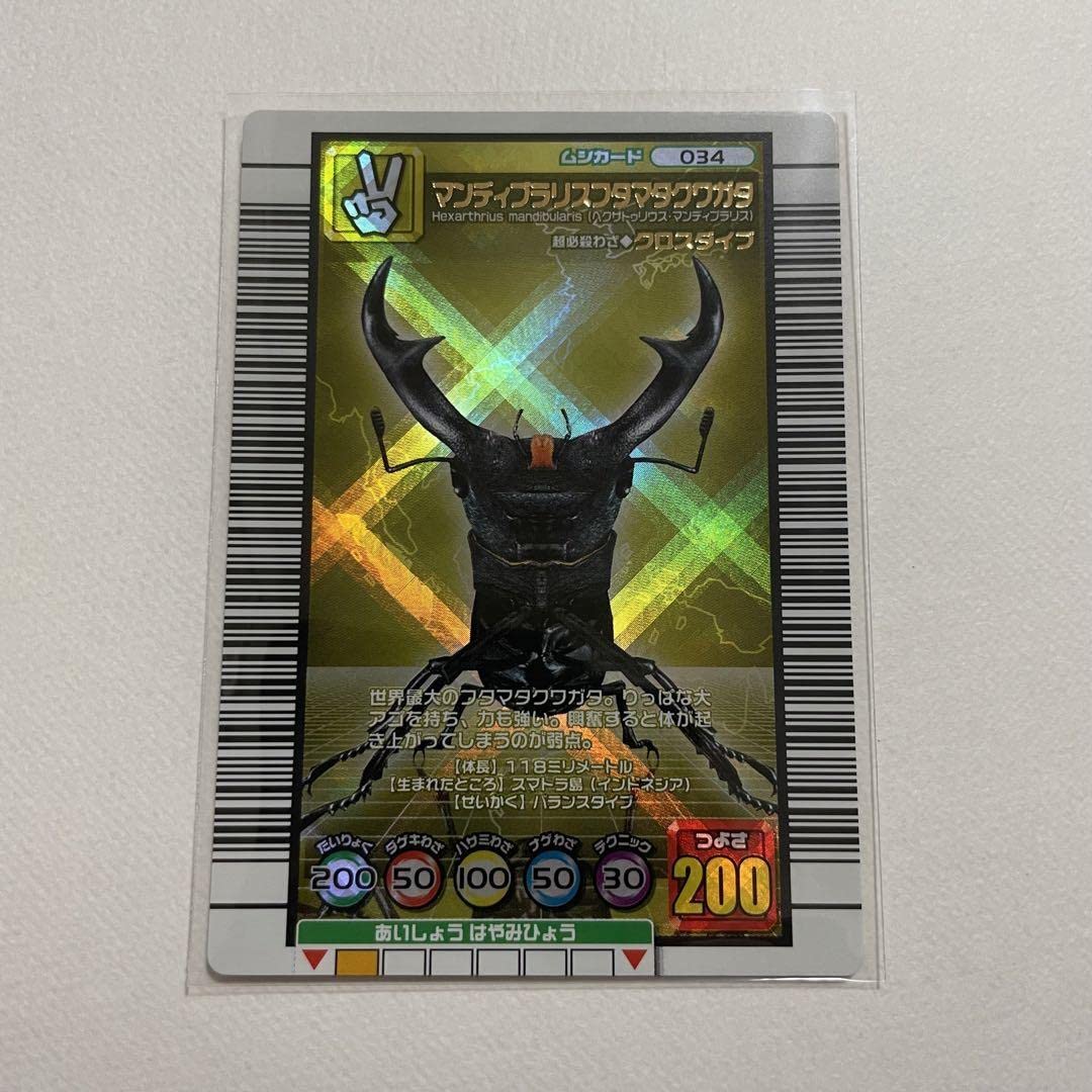 PSA10 マンディブラリスフタマタクワガタ 2005 夏限定デザインカード