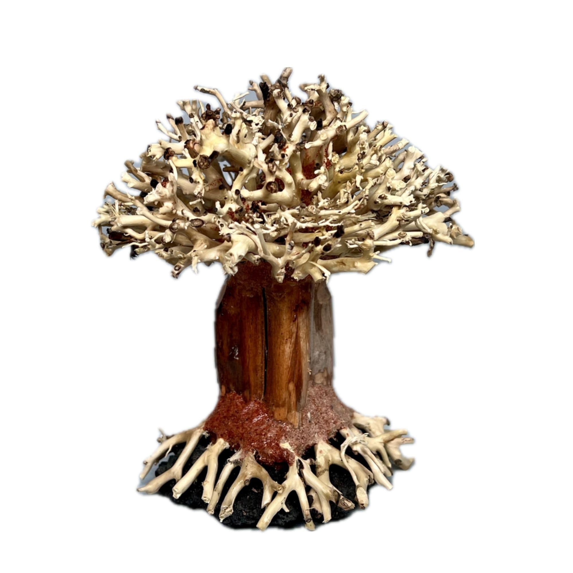 自然美流木龍+蛇