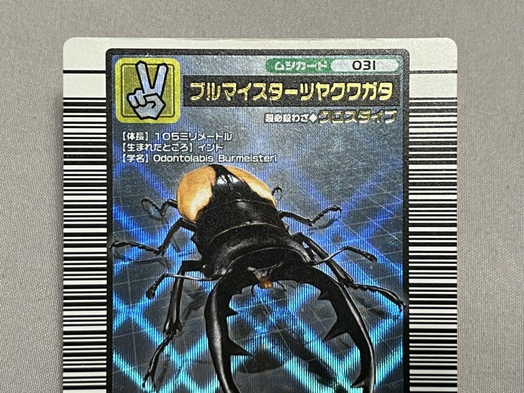 ムシキング タランドゥスツヤクワガタ 2004 ファースト＋ ムシキング
