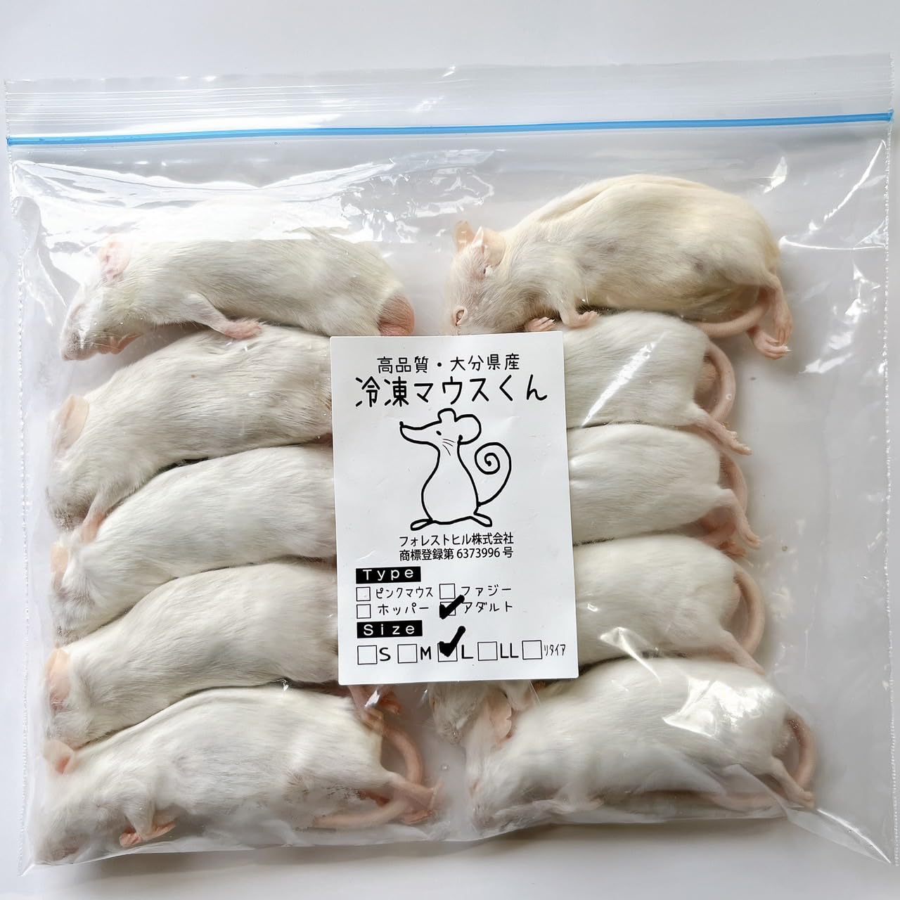 ☆ブルフロッグ様専用☆国産冷凍マウスアダルトL30匹 リタイア10匹