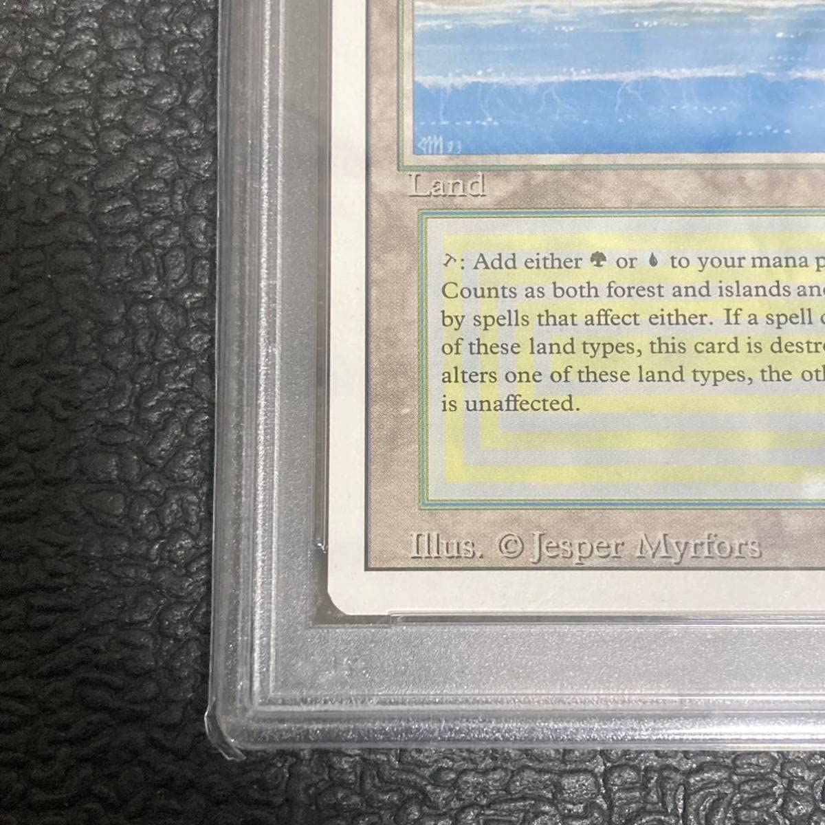 英語版 Tropical MTG Tropical 英語 MTG 1994 Revised Tropical Island