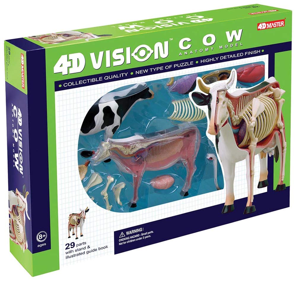 Amazon.co.jp: スカイネット 立体パズル 4D VISION 動物解剖 No.03 牛