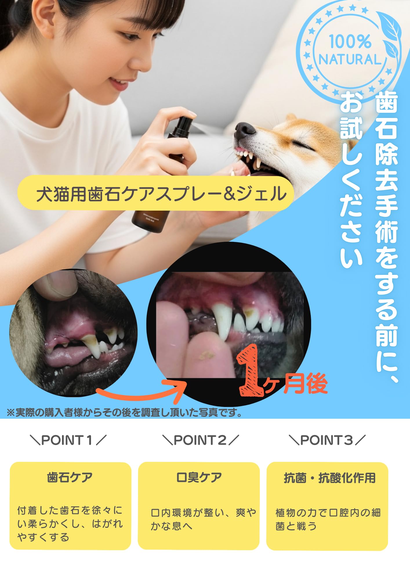 Amazon | ReDenta(リデンタ) 犬猫用・歯石ケアスプレー 50ml | ReDenta