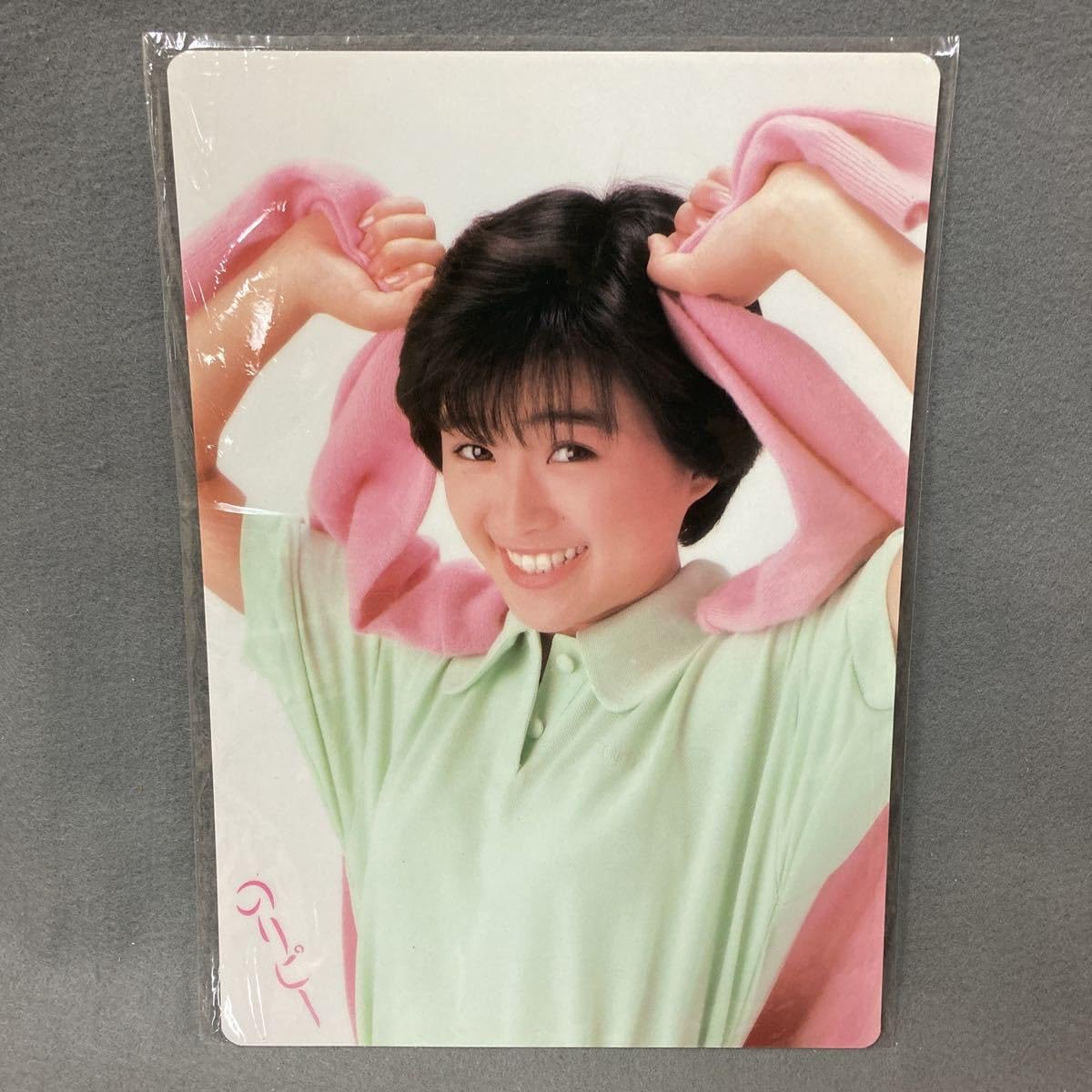 のりピー酒井法子の簡易保険クリアファイル