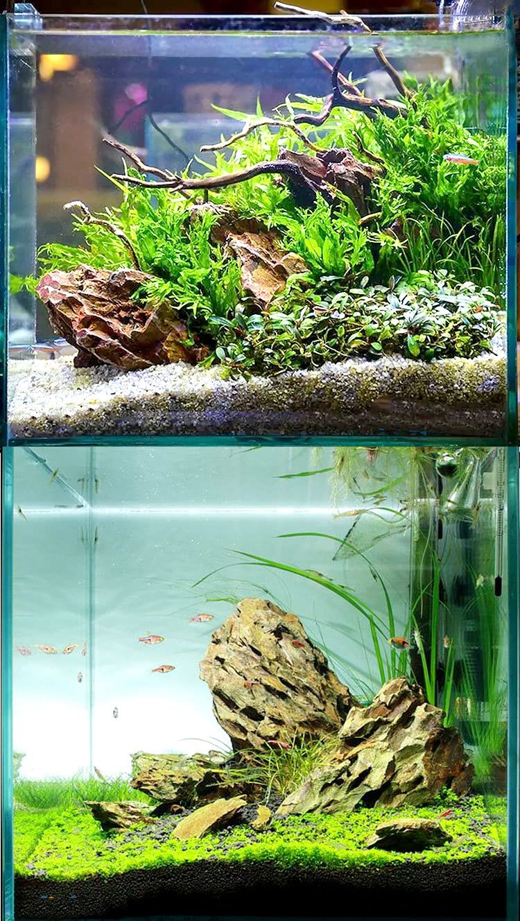 Amazon | 気孔石 黄虎石 蜂炎石 水槽 アクアリウム 花壇 ガーデニング
