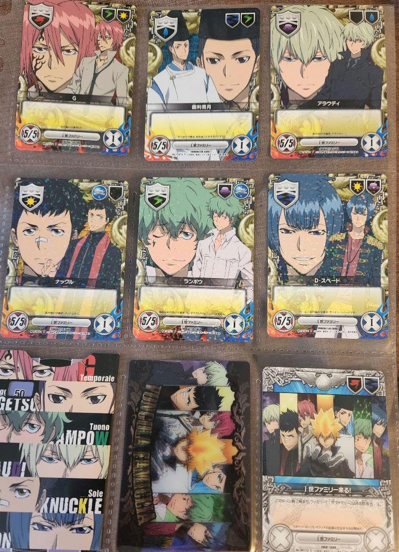 家庭教師ヒットマンreborn! CCG カード まとめ売り ファイル付き