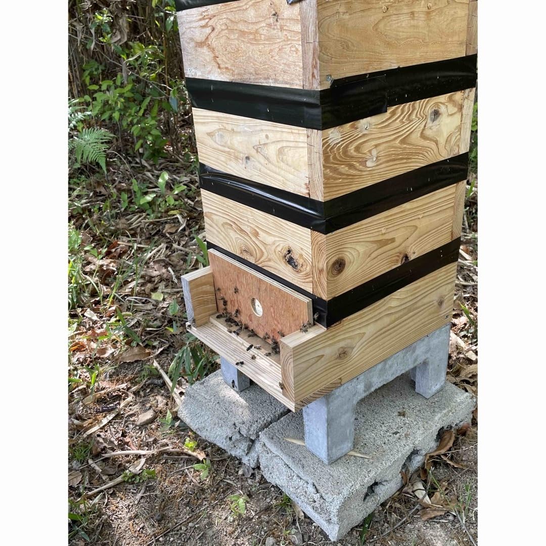 日本蜜蜂重箱式巣箱ハニーズハウス！五段スノコセット！送料無料