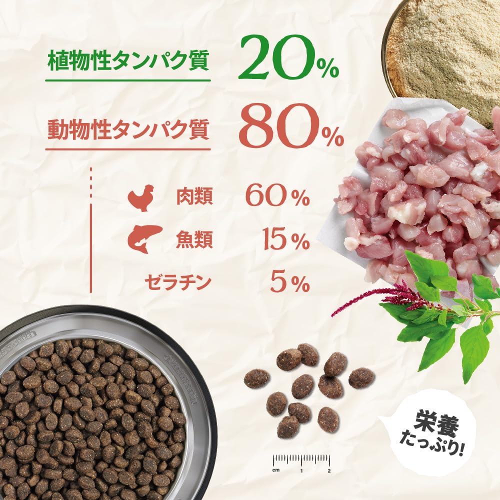 Amazon.co.jp: BELCANDO ベルカンド パピー グレインフリー チキン 3kg