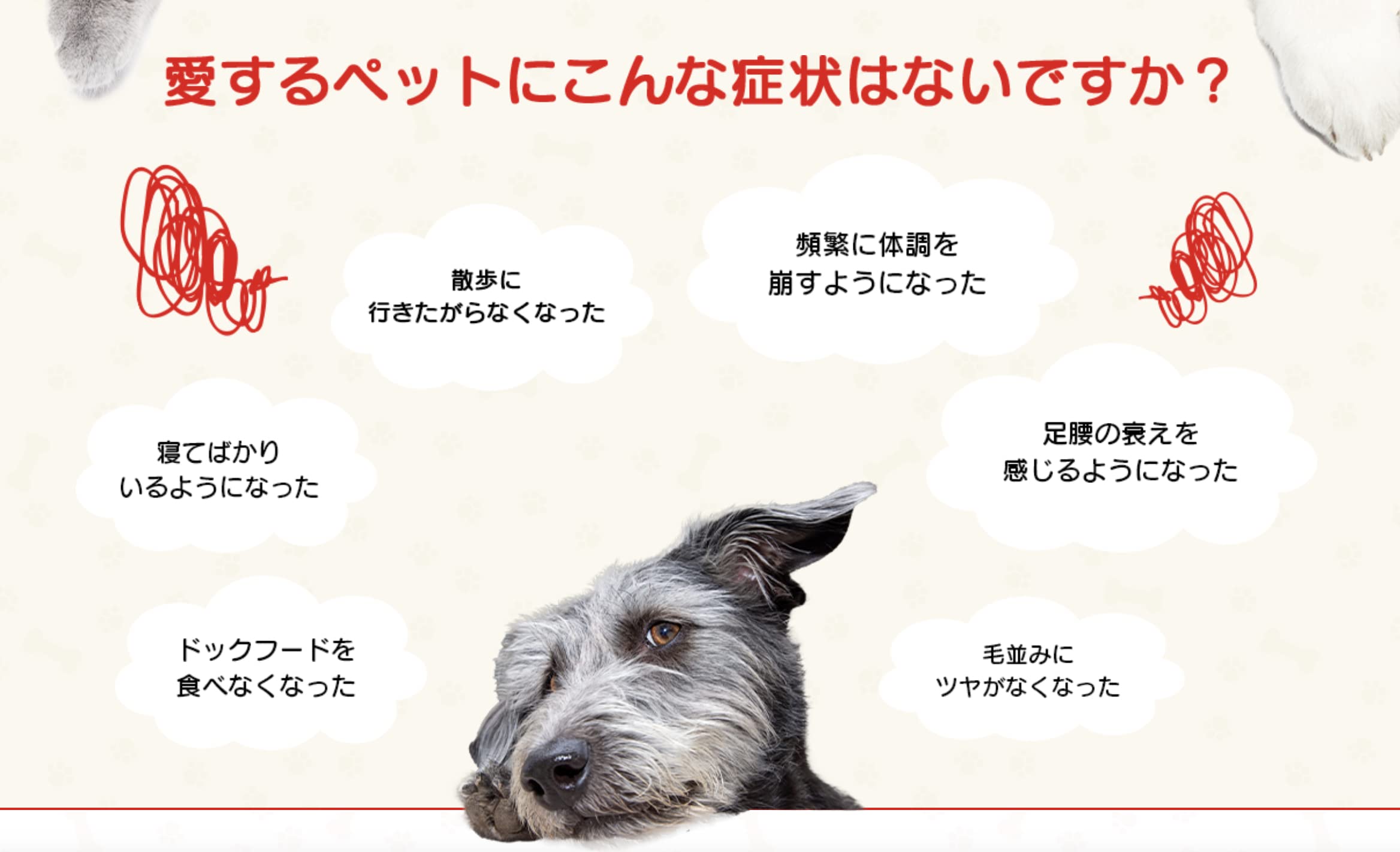 Amazon | ペッタム寿命のびーる | ペッタム | ヘルスケア 通販