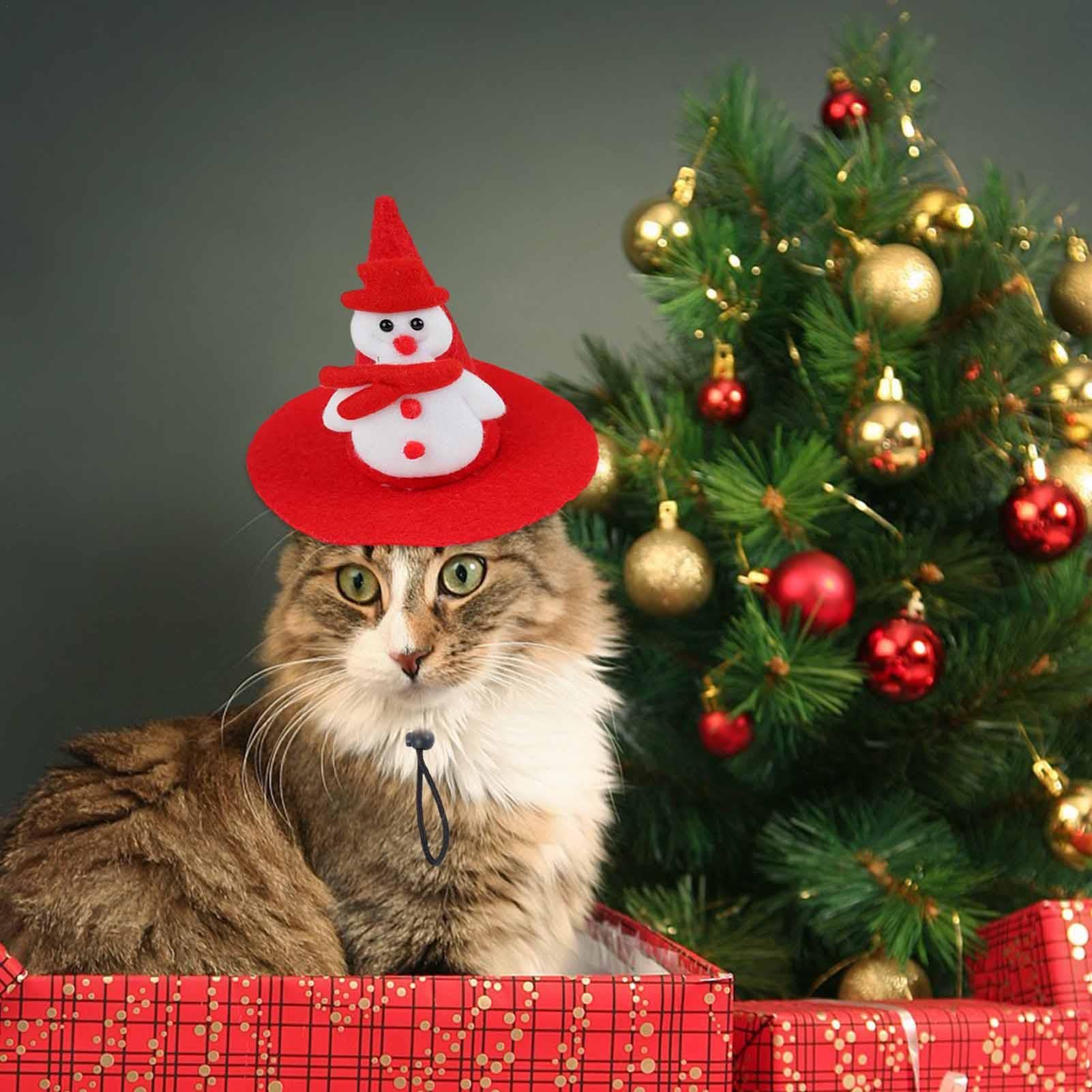 お値下♡未使用 スタンピンアップ フランス語 猫と犬 クリスマス
