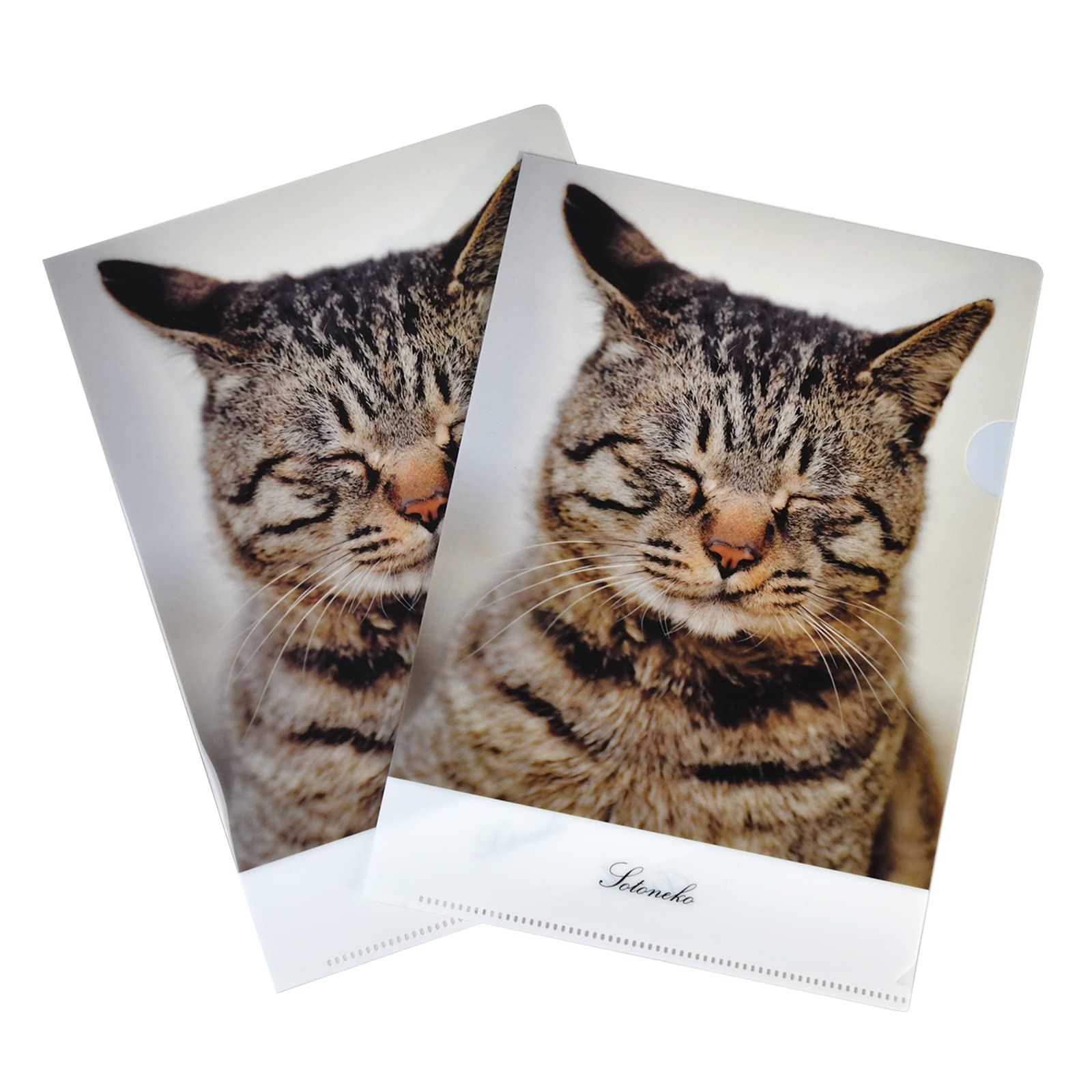 ねこた 884335 サイドアクリル 引き出しタイプオプションお写真2枚目